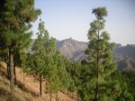 2009-08-23 18-58-5211860_redimensionar.JPG