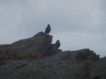 Veleta 067 (Small).jpg