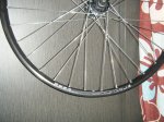 DSCF0778.jpg