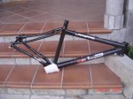 DSC02614.jpg
