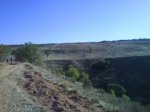 DSC00168.jpg