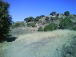 DSC00169.jpg