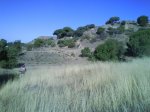 DSC00170.jpg