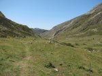 IMG_2730.jpg