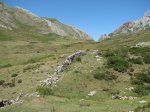 IMG_2731.jpg