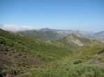 IMG_2751.jpg
