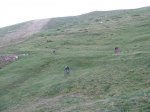 IMG_2756.jpg
