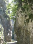 IMG_2758.jpg