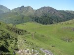 IMG_2766.jpg