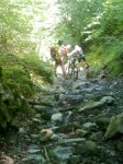 12082009050.jpg