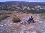 DIGO TO EL CAMINO.jpg