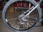 DSCN1174.jpg