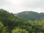 m_100_9277.jpg