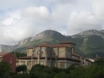 IMG_4217mini.jpg