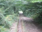 IMG_4219mini.jpg