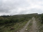IMG_4238mini.jpg