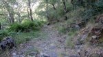 sanabria49_1024x575.jpg