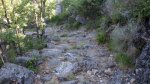 sanabria50_1024x575.jpg
