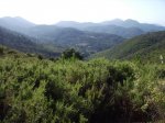 IMG_0004.jpg