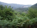 IMG_0025.jpg
