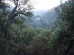 IMG_0010.jpg