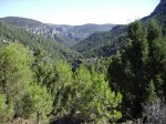 IMG_0047.jpg