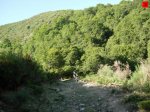 foromtb_image_23ago_03_num.jpg