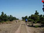 foromtb_image_23ago_07_num.jpg