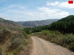 foromtb_image_29ago_10_num.jpg
