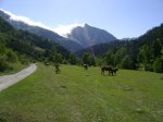 DSC02581.JPG