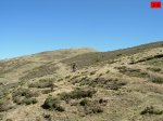 foromtb_image_30ago_26_num.jpg
