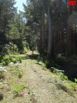 foromtb_image_30ago_28_num.jpg