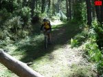 foromtb_image_30ago_29_num.jpg