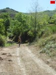 foromtb_image_30ago_30_num.jpg