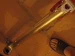 IMG_2919.jpg