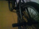 DSC01926.jpg