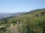 DSC00017.JPG