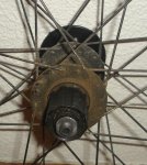 DSC00183.jpg