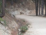 pedriza dani 018_800x600.jpg