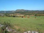 verano 2009 039.jpg