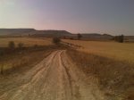 IMAG0419.jpg