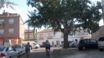 CIMG1834.jpg