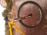 IMG00042-20090902-2037.jpg
