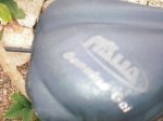 CIMG0702.jpg