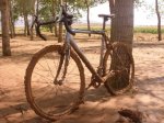 CX_Globero_Elite_Uci.JPG