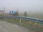 Brevet300 089_640x480.jpg