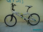 IMGP0749.jpg