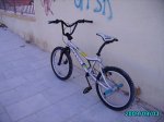 IMGP0751.jpg