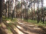 Foto13.JPG