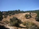 Foto38.JPG